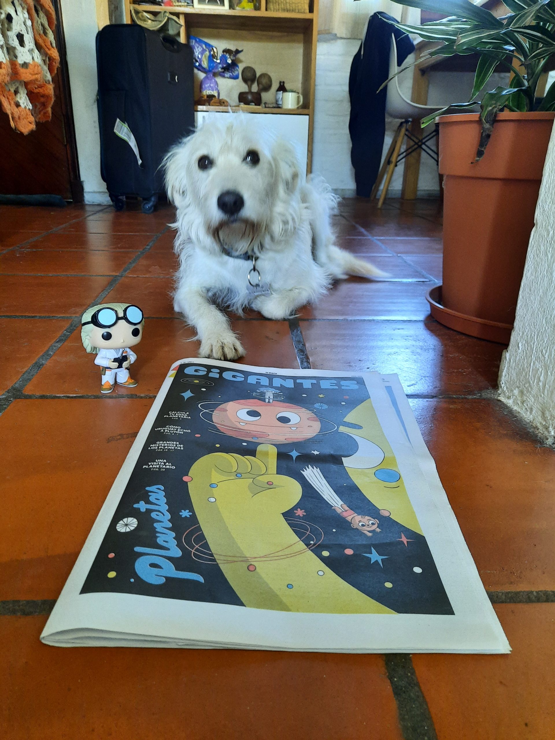 Me llegó la GIGANTES!!!! He aquí una foto de mi perro 🐕 con la GIGANTES y un Funko© de una película que se llama Volver al futuro.
