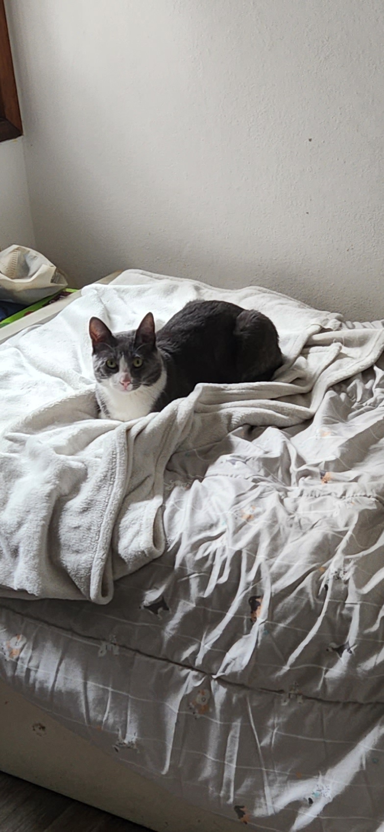 Que me filma? E? Déjame dormir!!!