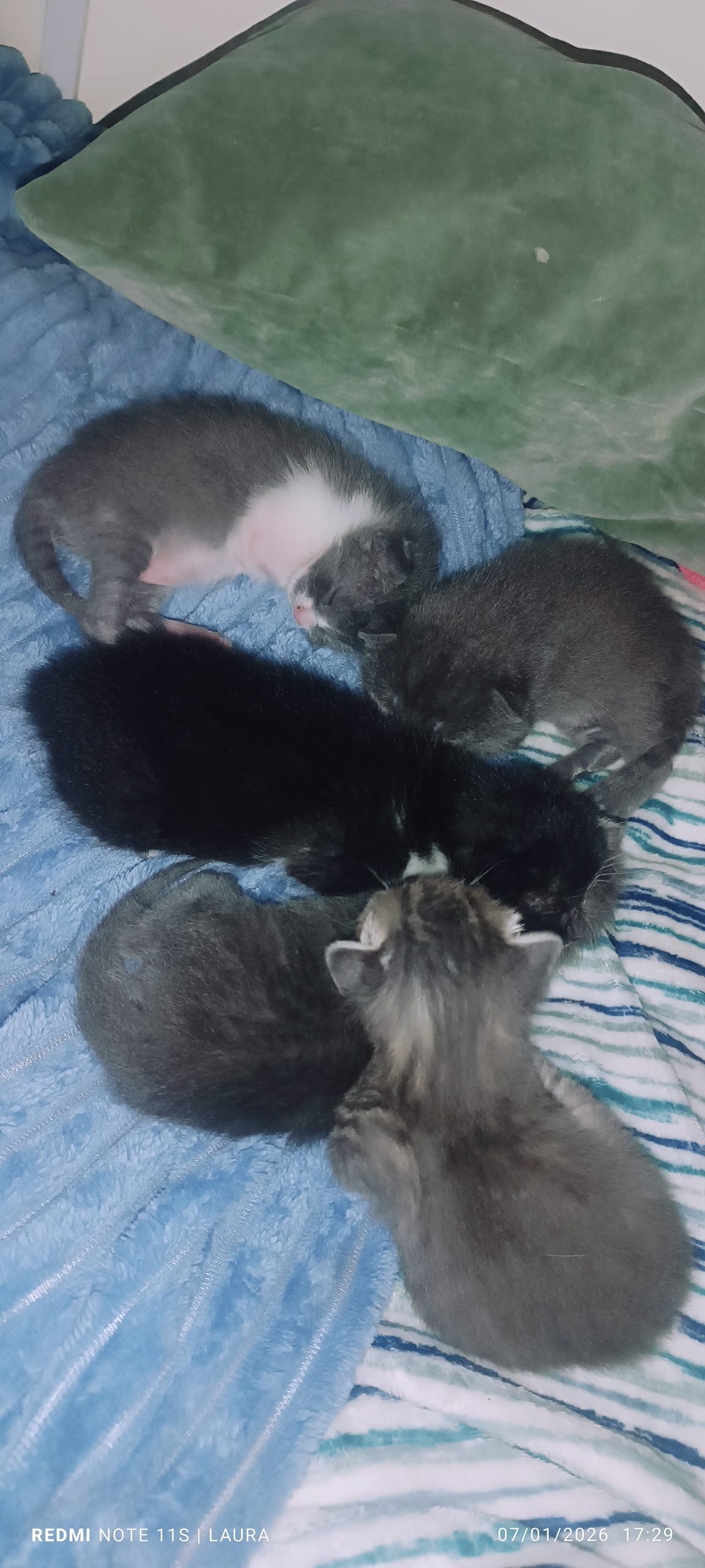 Ya soy bisabuelaaaaaaaaaaaaaaaaaaa ❣️❣️🥰🥰🥰🥰🥰🥰🥰🥰🥰