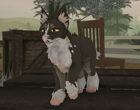 el gato de Sancats pero en warrior cats: ultimate edition!