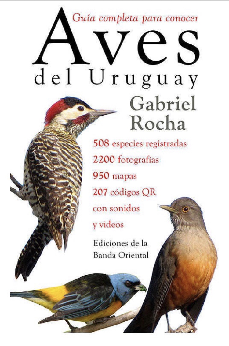 Guía completa para conocer Aves del Uruguay